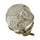 9ce54d50f1985515cebdfca2c8d21bc2